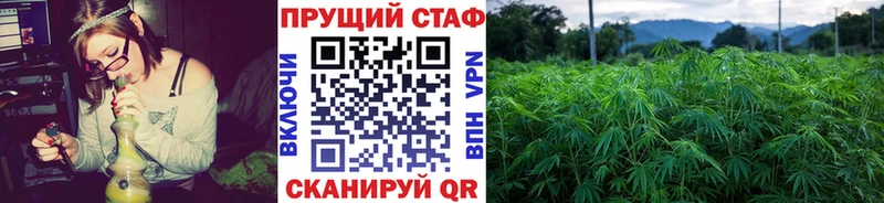 Купить наркотики Полярные Зори СК  Псилоцибиновые грибы  МЕТАМФЕТАМИН  Cocaine 