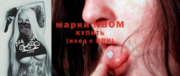 молекула духа Магадан