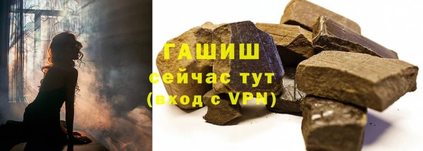 прущие грибы Медвежьегорск