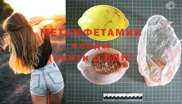 прущие грибы Медвежьегорск