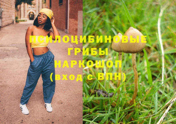 мяу мяу мука Майский