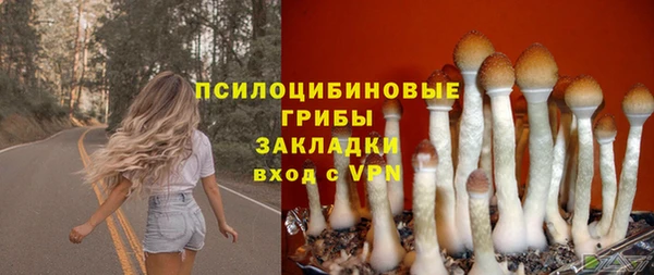 мяу мяу мука Майский