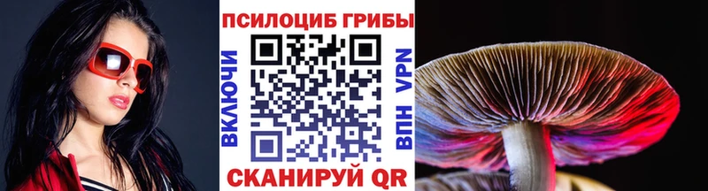 Псилоцибиновые грибы мухоморы  цены наркотик  Полярные Зори 